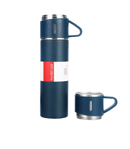 Garrafa Térmica 500ml Aço Inoxidável